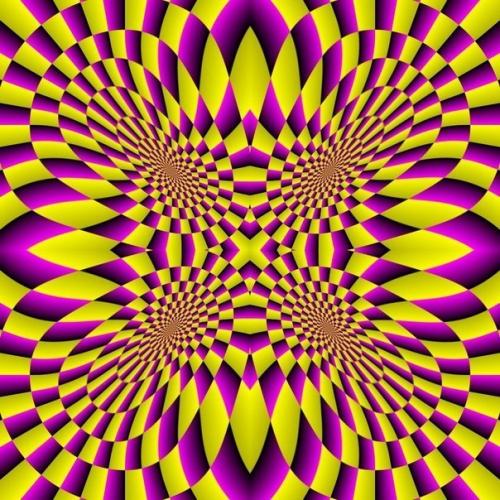 Может показаться, что склонность к галлюцинациям - слишком дорогая цена за способность нашего мозга строить модели окружающего мира. 01 Может показаться, что склонность к галлюцинациям - слишком дорогая цена за способность нашего мозга строить модели окружающего мира. 01