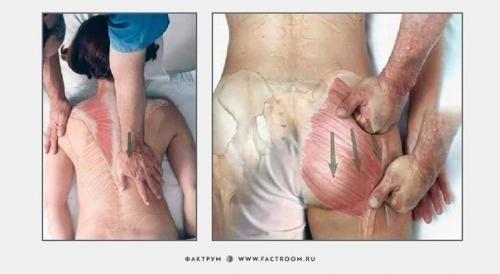 Несколько основных приёмов из практики массажа. 03