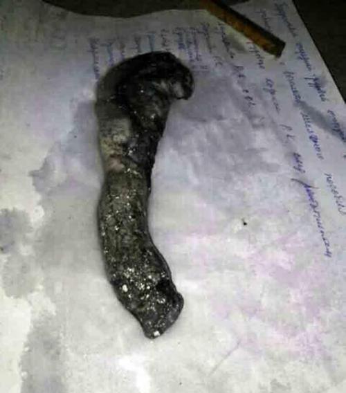 Загадочное существо может оказаться детенышем червя, поедающего людей и скотину. 
