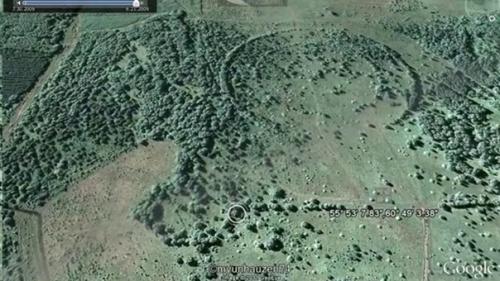 В лесу под Каслями есть таинственные круги из деревьев. 04