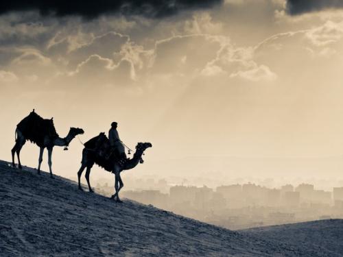 Слишком Много Верблюдов, Иными Словами, Библию Переписывали.