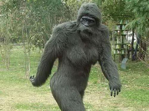 Бигфут - миф или реальность.
