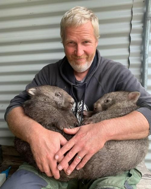 Добрые люди из австралийского приюта спасают осиротевших вомбатиков и лечат тех, кто попал в беду. 04