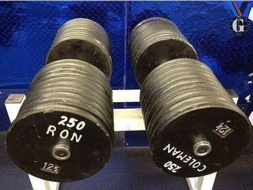 Гантели, весом 113 кг каждая, принадлежат Ронни колеману - выдающемуся культуристу, который стал восьмикратным обладателем титула мистер Олимпия.