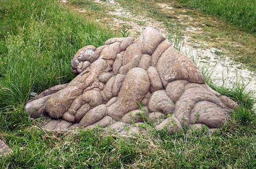 Трованты - живые камни, которые растут и размножаются. 04