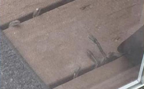 В Колорадо семейная пара дом с жутким сюрпризом купила. 02