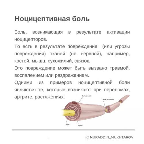 Фотокарточки Современное Понимание Боли. 07