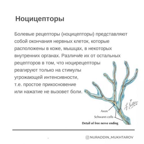 Фотокарточки Современное Понимание Боли. 06