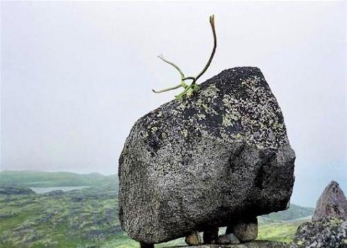 Кольский полуостров. Нойды - шаманы, некогда населявшие кольский полуостров, что помогали живущим там народам, наставляя их на путь истины. 01