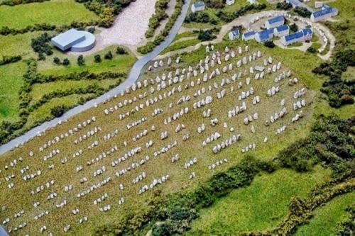 Карнакские камни. Французская деревня карнак является родиной удивительный мегалитов, которые датируют 4500 годом до нашей эры. 01