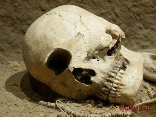 Цивилизация циклопов?   До конца XX в. никому и в голову не приходило, что мифические циклопы существовали на самом деле. 01