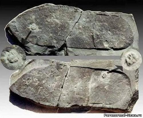 Следы ископаемых отпечатков обуви. 01