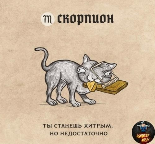 Аcтpoлoги cocтaвили гopocкoп нa 2026 гoд в cтилe cpeднeвeкoвых кoтикoв. 01