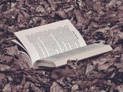 Лучшие книги великих психологов. Лучшие книги великих психологов.