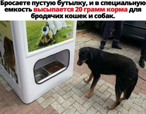 Punk Rock. ~ Маникюр комби. ~ Покрытие гель лак. ~ Покрытие база топ. ~ Дизайн наклейки. 01