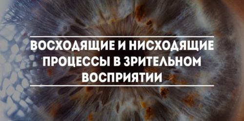 7 фактов о механизмах человеческого восприятия информации и методах их исследования. 7 фактов о механизмах человеческого восприятия информации и методах их исследования.