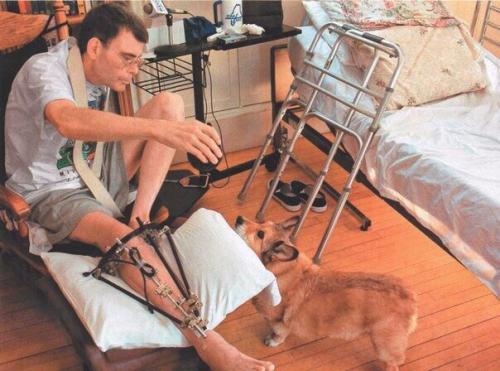 В 1999 году Стивена кинга сбила машина.  