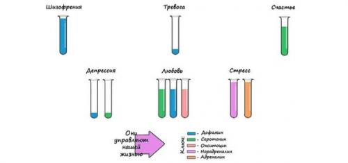 Эмоции под контролем: 4 самых главных вещества, ответственные за наши переживания. Эмоции под контролем: 4 самых главных вещества, ответственные за наши переживания.