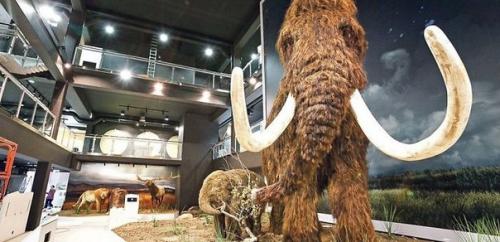 В Киргизии сельские жители останки неизвестного доисторического животного нашли.
