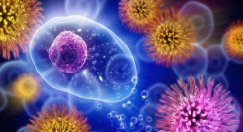 Премьера!  Круглый год наш организм риску развития сезонных заболеваний подвержен.