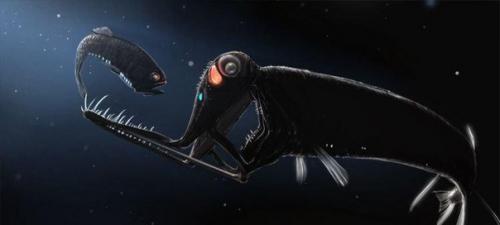 Как звучит марианская впадина?