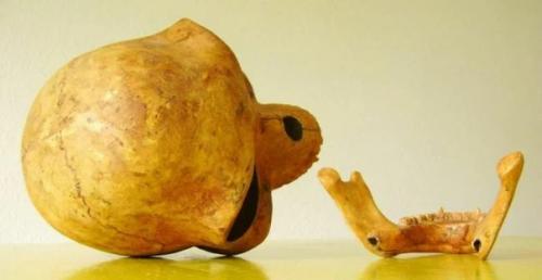 Тайна силендского черепа и версия об инопланетном происхождении. 02 Тайна силендского черепа и версия об инопланетном происхождении. 02