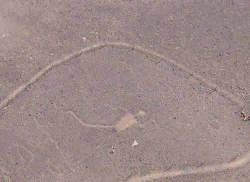 Блайтские фигуры (США) - гигантские геоглифы. 02 Блайтские фигуры (США) - гигантские геоглифы. 02