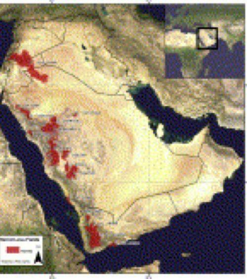 Загадочные геоглифы сирии. 04 Загадочные геоглифы сирии. 04