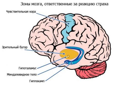 Восприятие времени.  Представьте себе небольшую очередь в супермаркете. 01