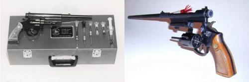 Ветеринар, который изменил мир. 02