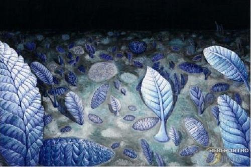 Древнейшие животные планеты были похожи на растения. 02 Древнейшие животные планеты были похожи на растения. 02