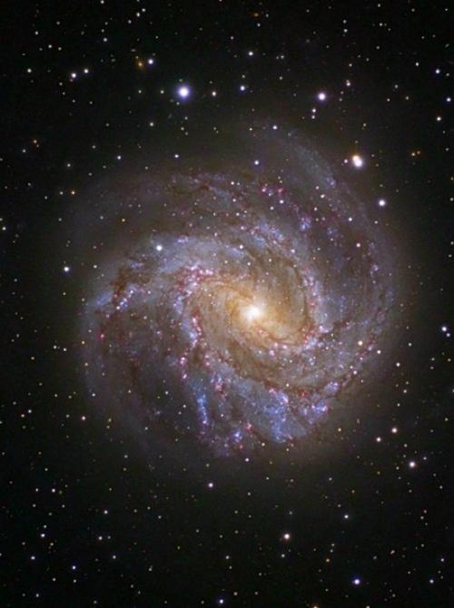 M83: галактика тысячи рубинов. 05 M83: галактика тысячи рубинов. 05