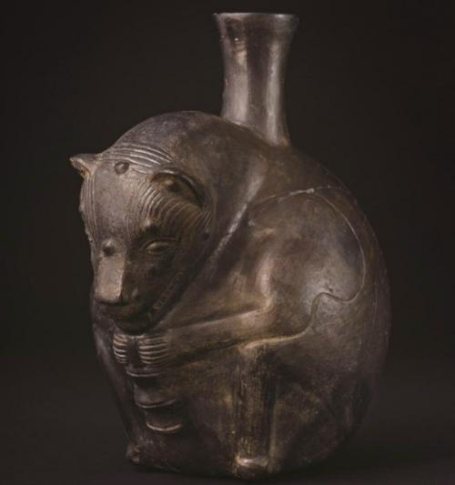 В перу нашли самых древних голых собак.
