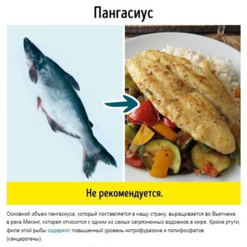 9 видов рыбы, которые не стоит есть. 04