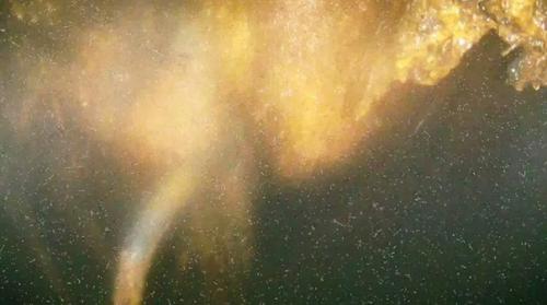 Спустя 13 лет после аварии: обнародованы первые снимки из ядерного реактора на фукусиме. 01 Спустя 13 лет после аварии: обнародованы первые снимки из ядерного реактора на фукусиме. 01