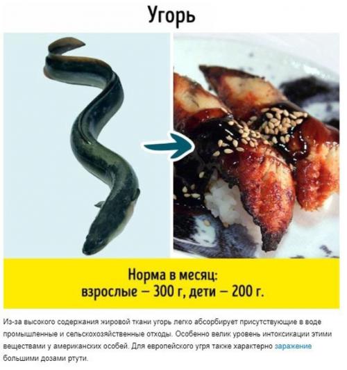 9 видов рыбы, которые не стоит есть. 03