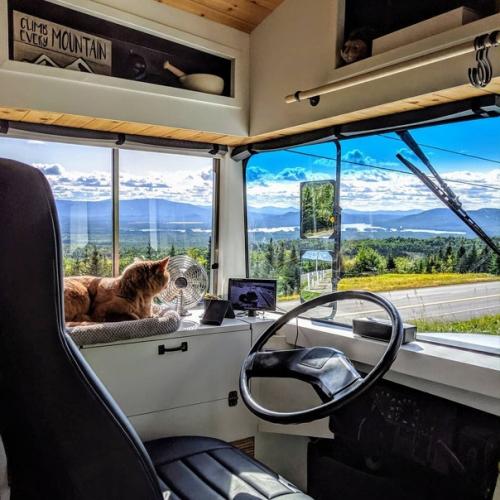 Семейная пара из Орландо в 2019 году купила старый школьный автобус. 08