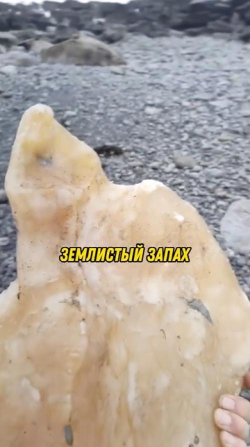 Почему иногда духи так дорого стоят? 02