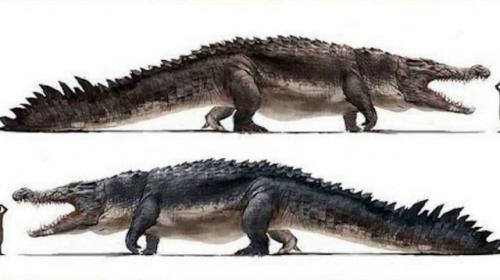 Kpoкoдил гeна 8 млн лет назад выглядел вот так. 
