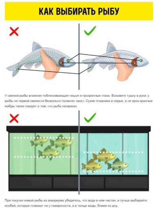 9 видов рыбы, которые не стоит есть. 08