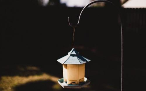 Философия, меняющая жизнь! Философия, меняющая жизнь!