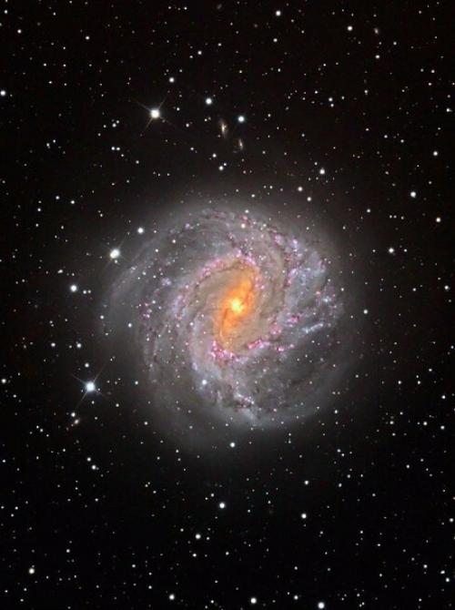 M83: галактика тысячи рубинов. 02 M83: галактика тысячи рубинов. 02