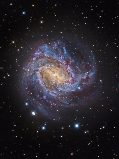 M83: галактика тысячи рубинов. 03 M83: галактика тысячи рубинов. 03