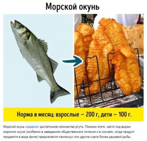 9 видов рыбы, которые не стоит есть. 06