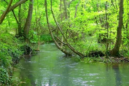 Загадочные аномалии поселка Сара. 04 Загадочные аномалии поселка Сара. 04