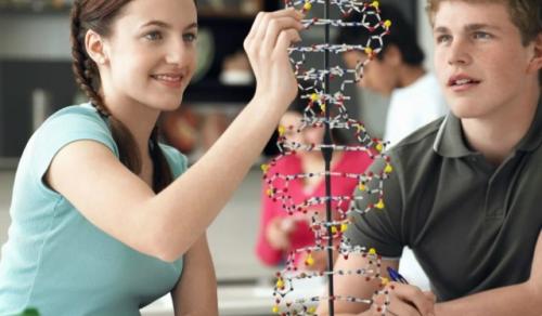 Уровень образования связали с продолжительностью жизни.

