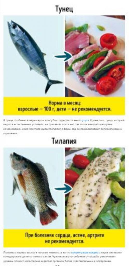 9 видов рыбы, которые не стоит есть. 02