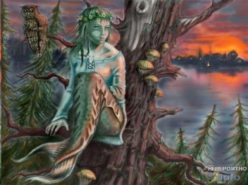 Кого хоронили в избушках на курьих ножках. 03