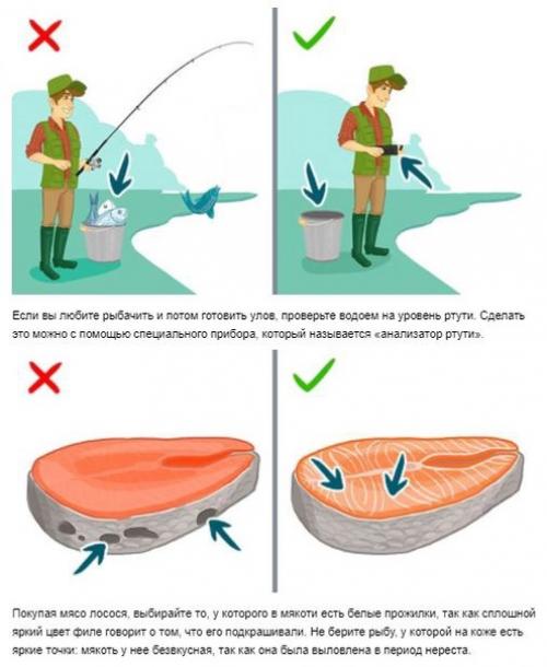 9 видов рыбы, которые не стоит есть. 09