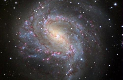 M83: галактика тысячи рубинов. 01 M83: галактика тысячи рубинов. 01